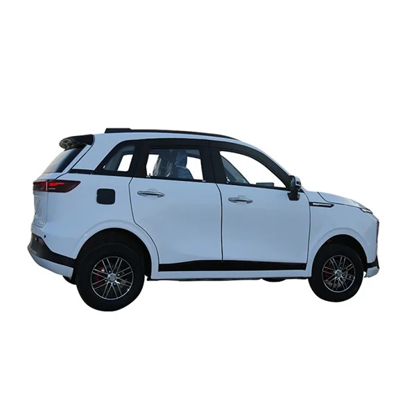Adult New Energy Electric four-wheel na sasakyan