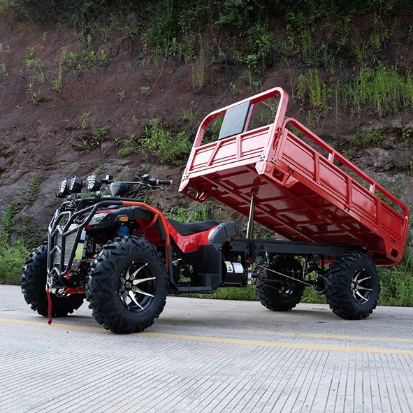 UTV Lahat ng terrain off-road na sasakyan UTV